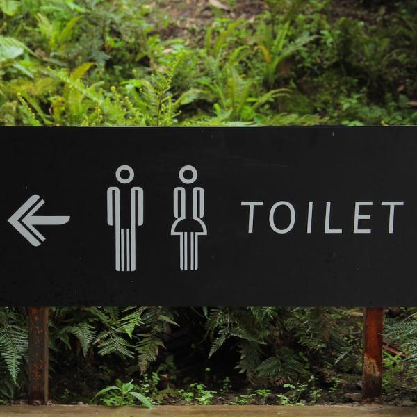 Public Toilet Near Me